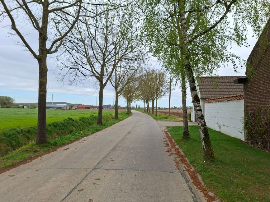 autobanden in Kortrijk